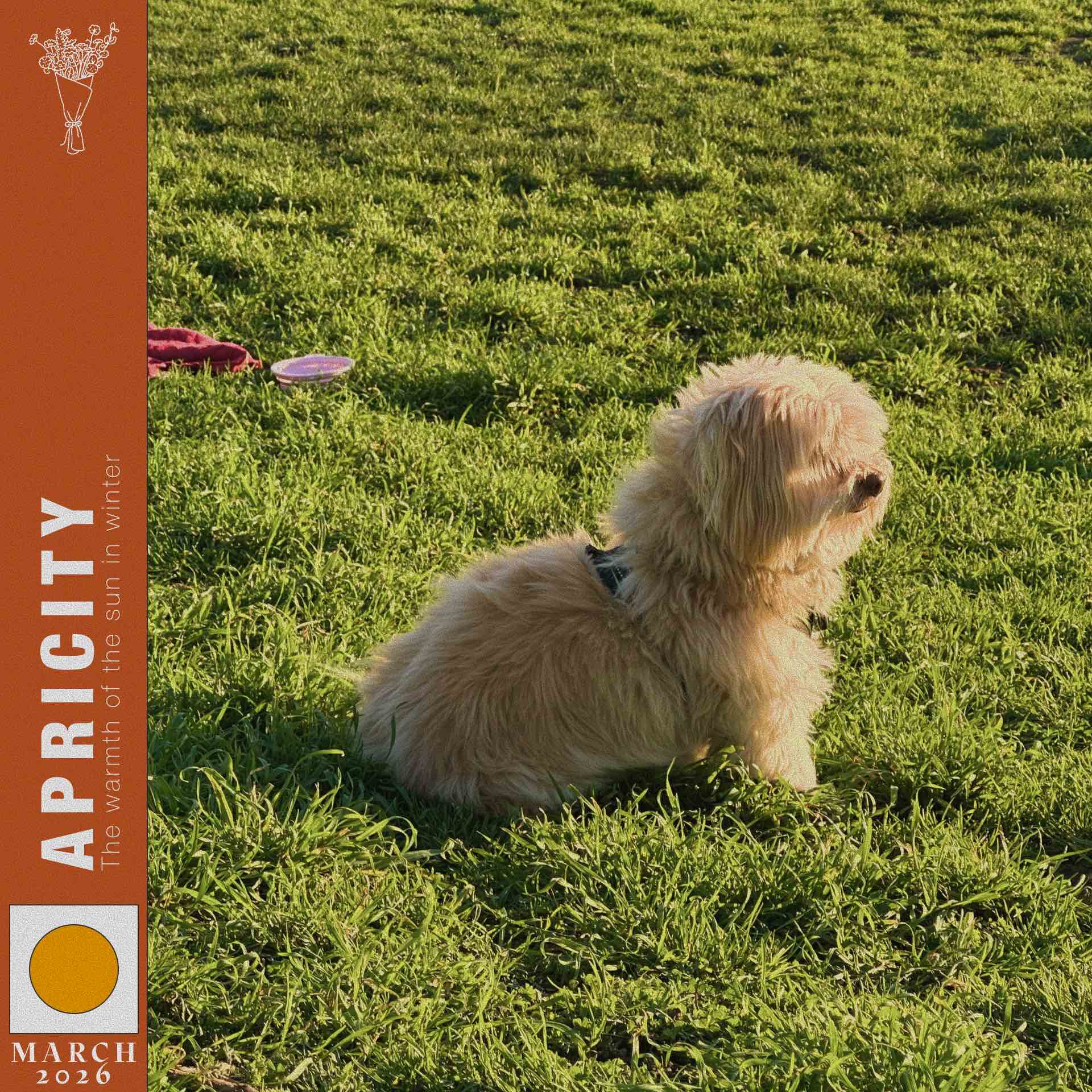 Obsesiones Marzo 2026