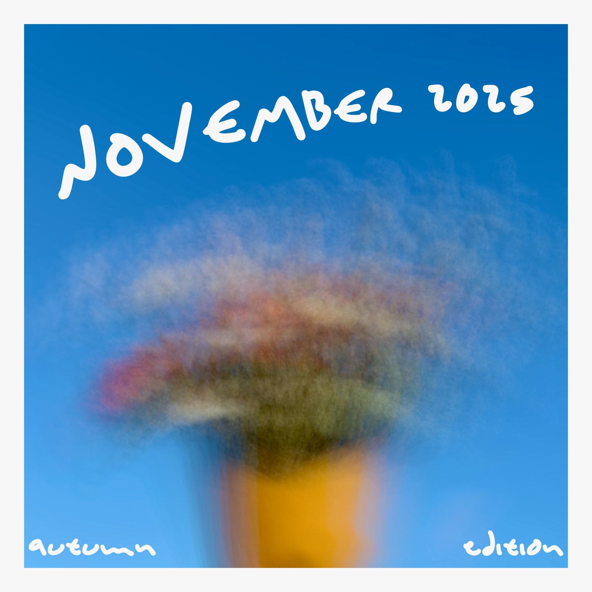 Obsesiones Noviembre 2025